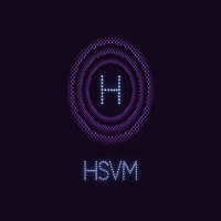 HSVM Consultation